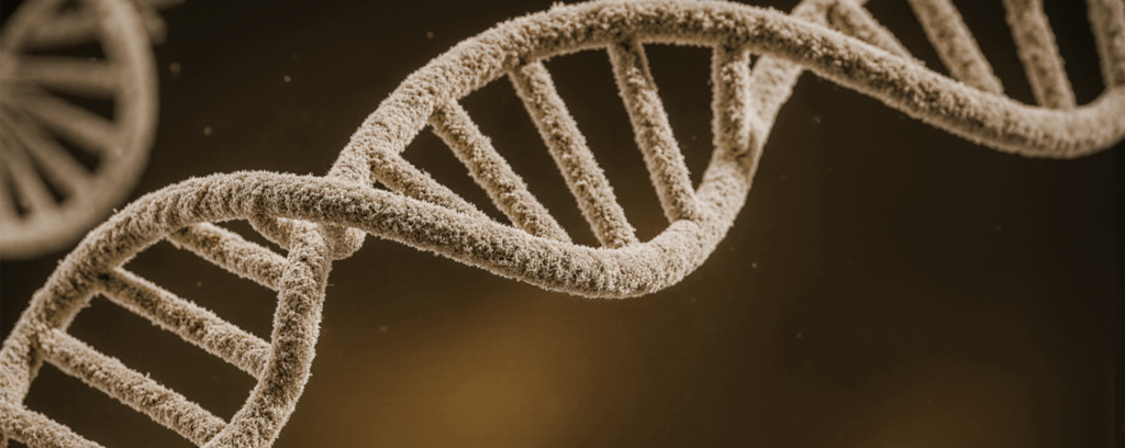 Les actualités du lipoedème : causes et physiopathologie physologie